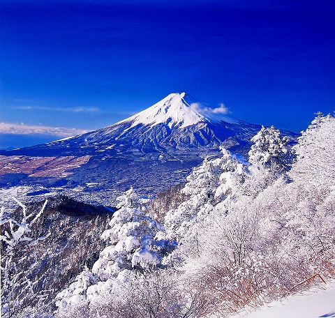 s-11～12月　霧氷と富士山（富士河口湖町）.jpg