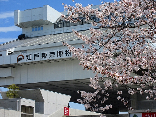 s-『江戸東京博物館』満開の桜.jpg